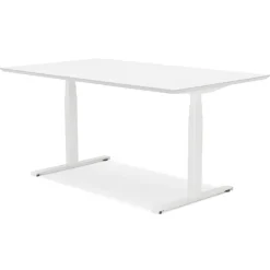 Bureau assis-debout électrique 'BIONIK'avec plateau en bois et métal blanc