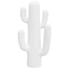 Cactus déco