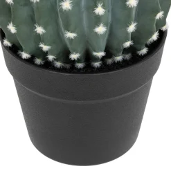 Cactus Rond Pot Plastique RAN H25