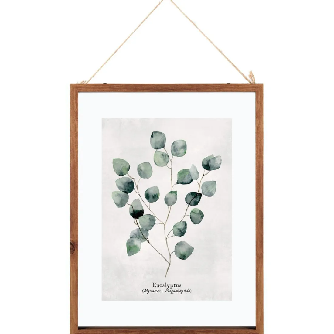 Cadre en Verre Feuilles Eucalyptus