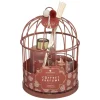 Coffret Cage Lola Wonderlyvoir Fleur d'Oranger
