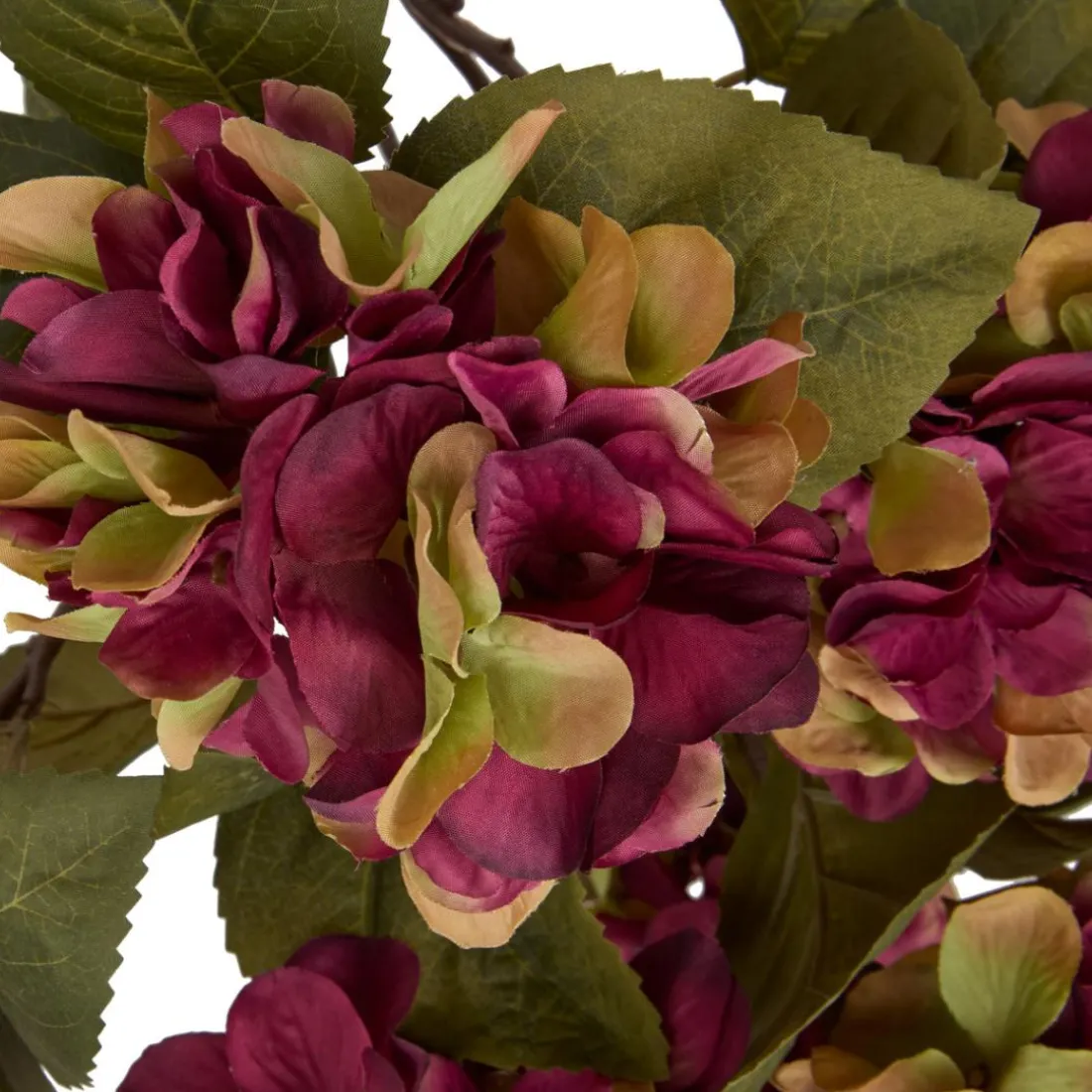 Composition florale Fria