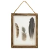 Déco murale bombée plume Jonas Bois