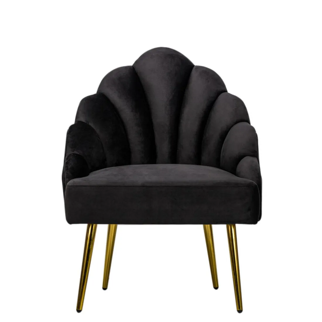 Fauteuil de Salon Design Pieds Metal BOLGE-NOIR