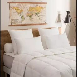 Lot de 2 Oreillers Unis DODO MAISON ANTI-ACARIENS Moelleux 60x60