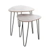 Lot de 2 tables d'appoint