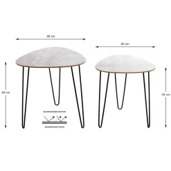 Lot de 2 tables d'appoint