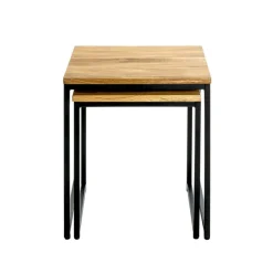 Lot de 2 tables d'appoint gigognes plateau chêne