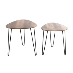Lot de 2 tables d'appoint noir en métal laqué