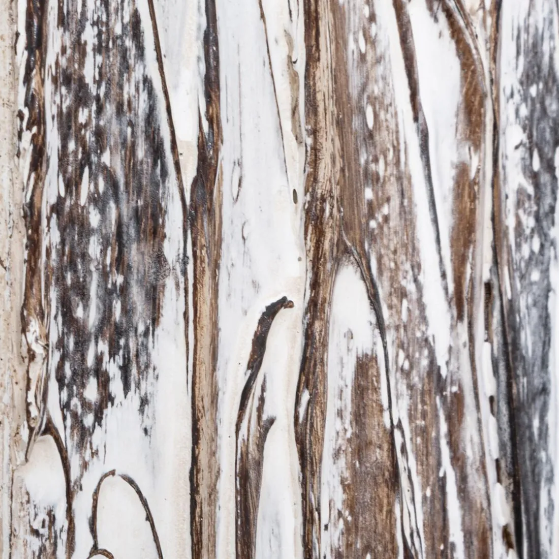 Miroir Bois Relief