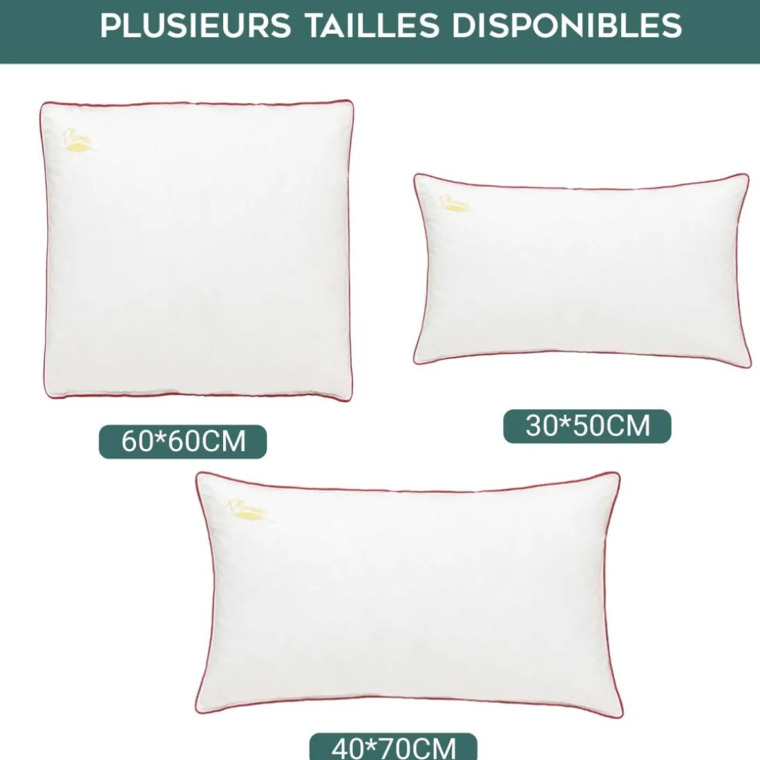 Oreiller 100% plume