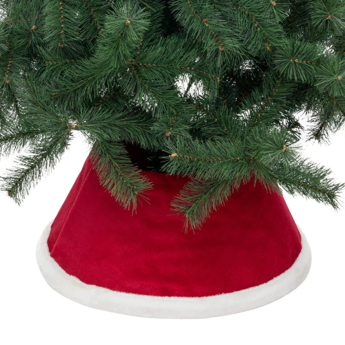 Pied de sapin rouge blanc