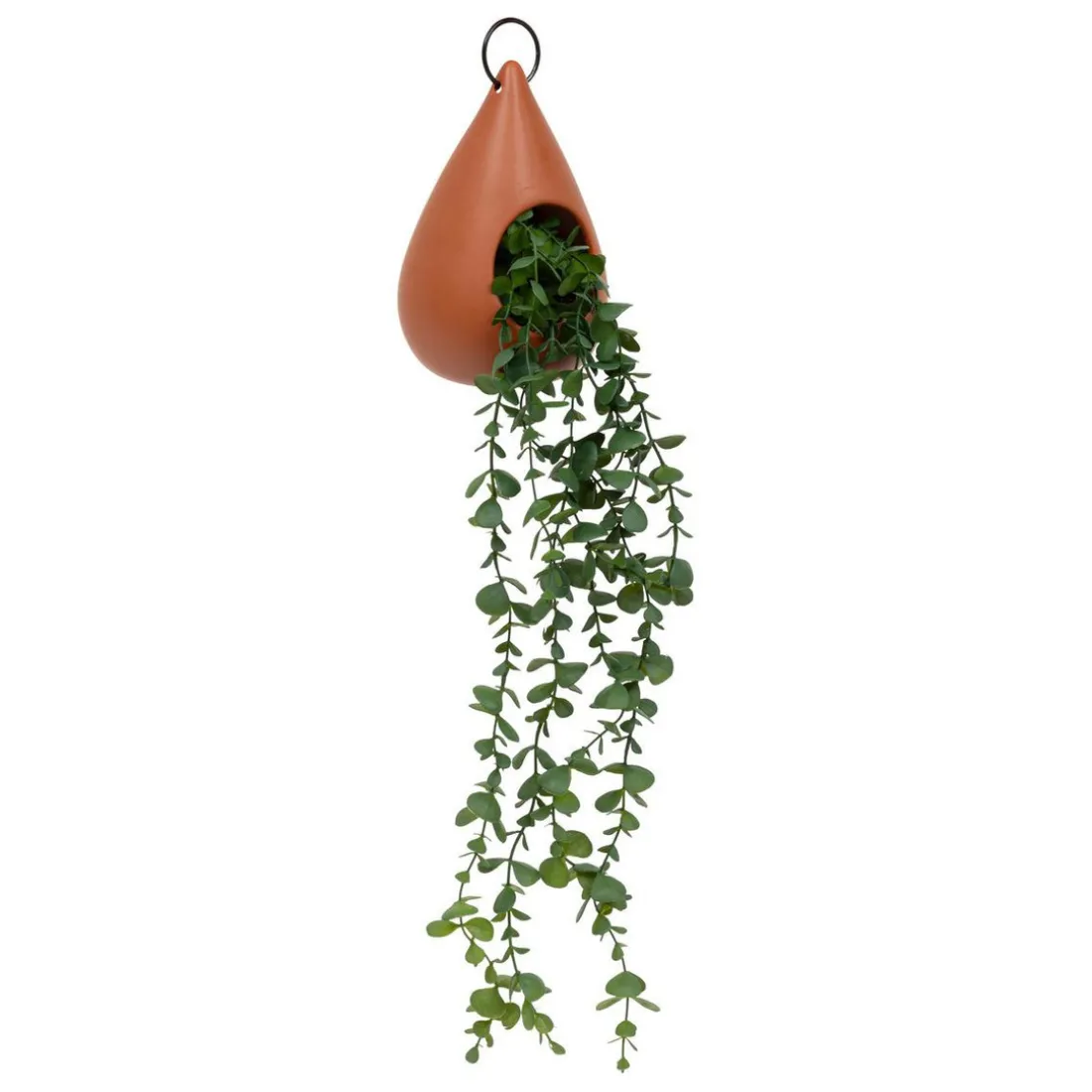 Plante suspendue goutte marron caramel