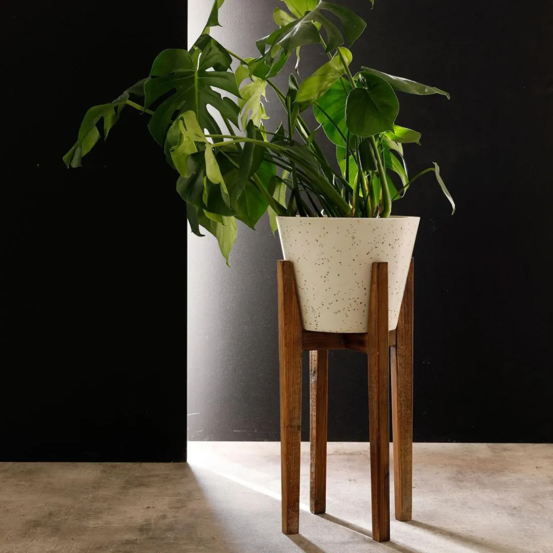 Pot Décoratif moyen en Bois et résine Plant Up Beige