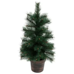 Sapin Windy Peak Vert