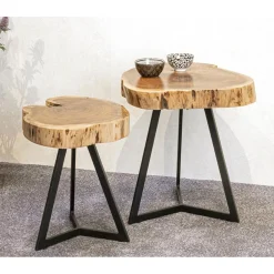 Table d'appoint plateau rondelle d'arbre modèle maxi