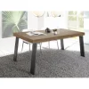 Table fixe PALMA avec pieds en fer MERCURE gris