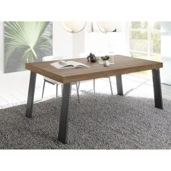 Table fixe PALMA avec pieds en fer MERCURE gris