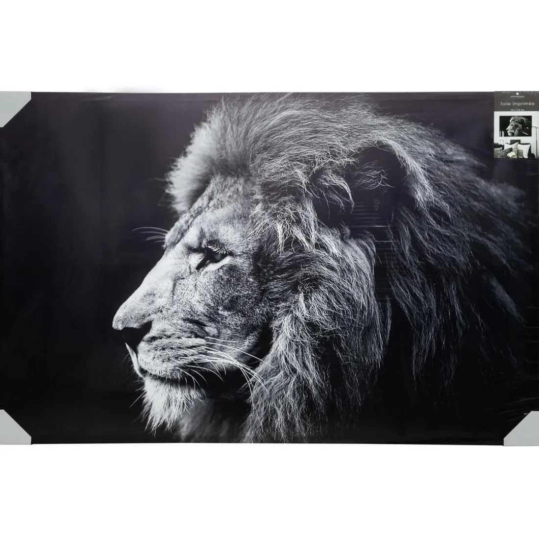 Toile imprimée Lion 78X118